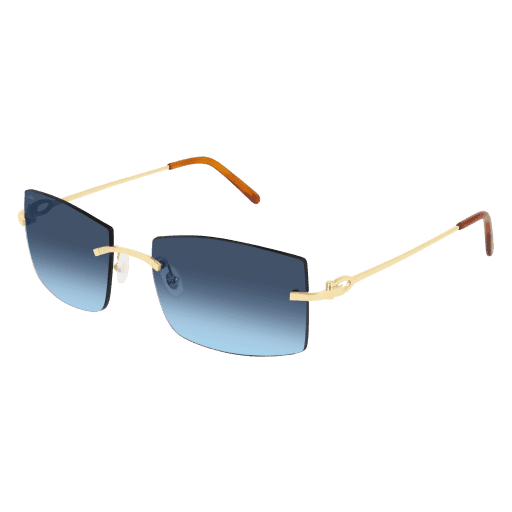 CT0005RS CT0005RS-001 eyeglasses - Modern Eye Care Portland