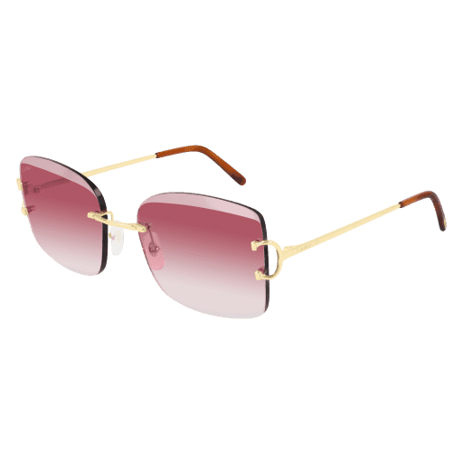 CT0007RS CT0007RS-001 eyeglasses - Modern Eye Care Portland