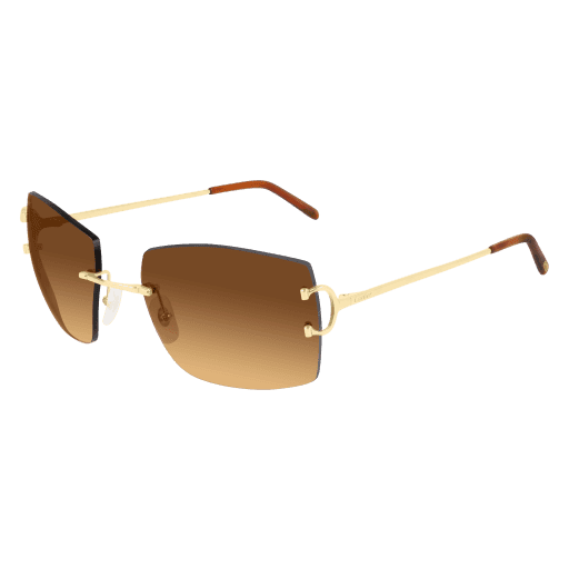 CT0009RS CT0009RS-001 eyeglasses - Modern Eye Care Portland
