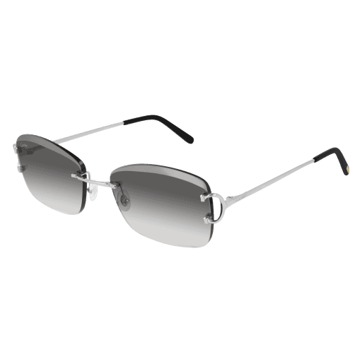 CT0010RS CT0010RS-001 eyeglasses - Modern Eye Care Portland