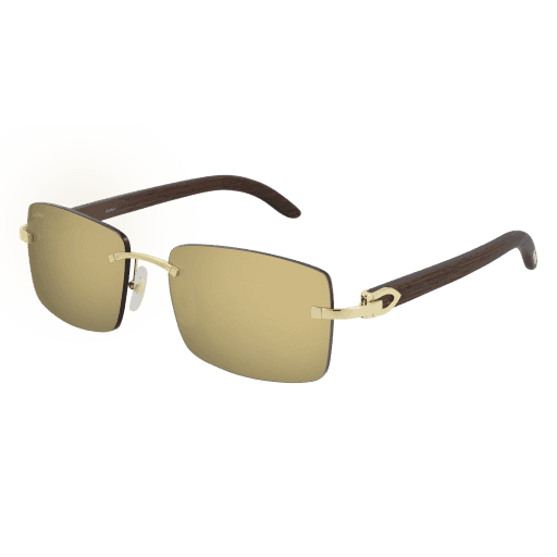 CT0012RS CT0012RS-001 eyeglasses - Modern Eye Care Portland