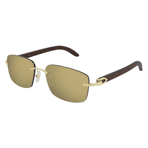 CT0013RS CT0013RS-001 eyeglasses - Modern Eye Care Portland