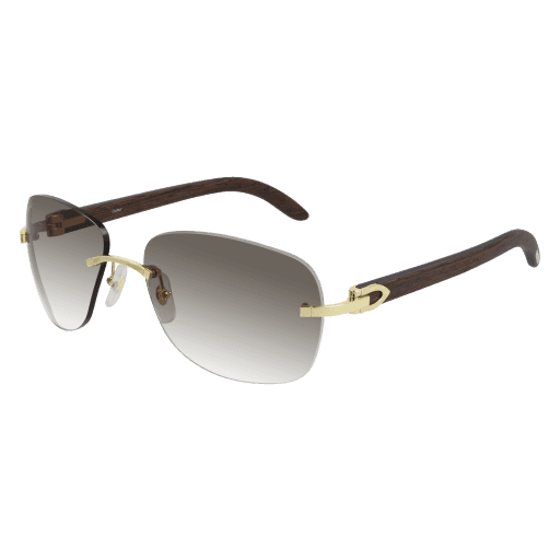 CT0014RS CT0014RS-001 eyeglasses - Modern Eye Care Portland