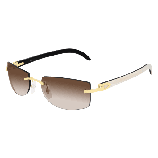 CT0017RS CT0017RS-001 eyeglasses - Modern Eye Care Portland