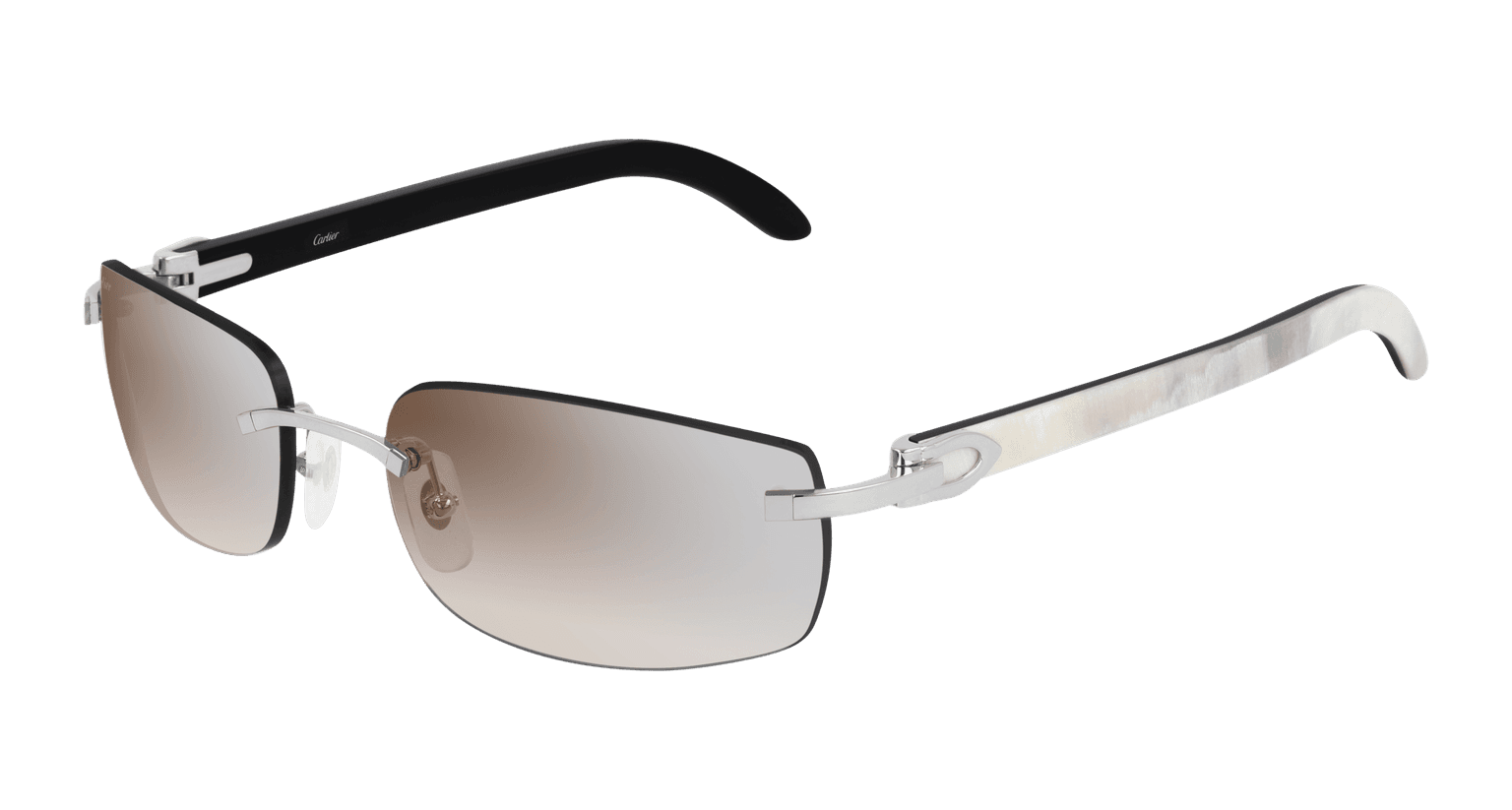 CT0018RS CT0018RS-001 eyeglasses - Modern Eye Care Portland